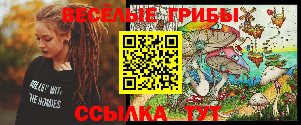 Галлюциногенные грибы MAGIC MUSHROOMS  Галлюциногенные грибы прущие грибы  Вход с VPN  Славгород 