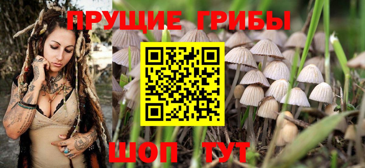 Псилоцибиновые грибы прущие грибы Славгород